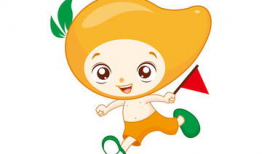 芒果动漫,描绘青春梦想的彩色画卷